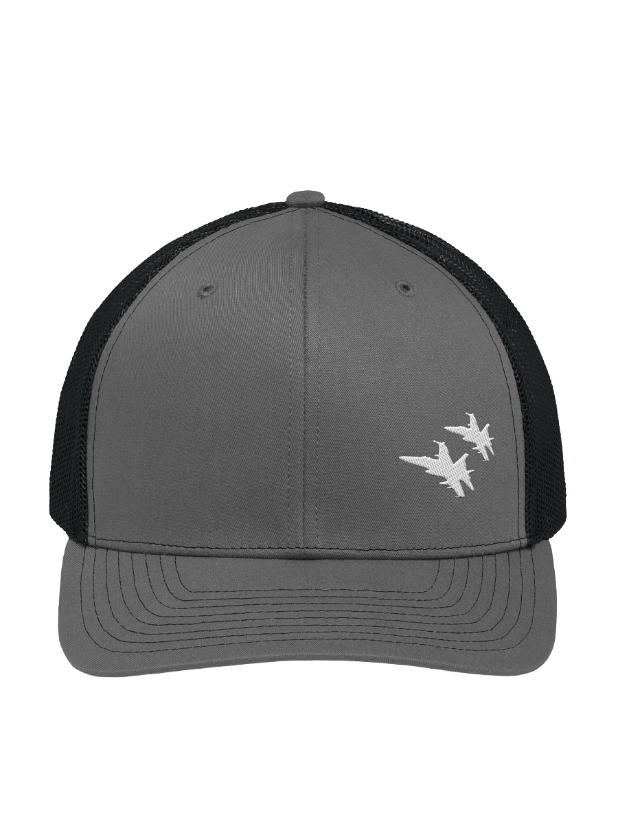 Twin Hornets Logo Hat, Charcoal product image (1)