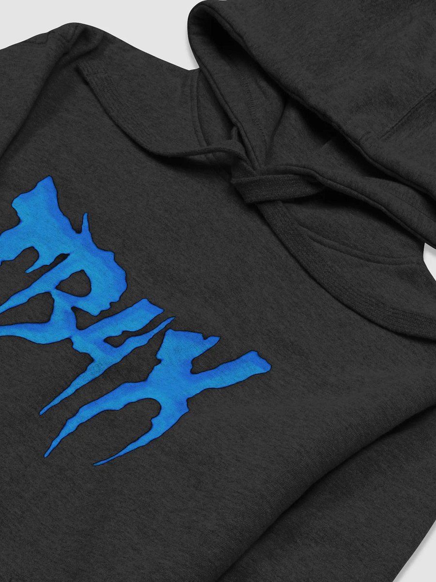 TB4X Blue Logo Hoodie product image (3)
