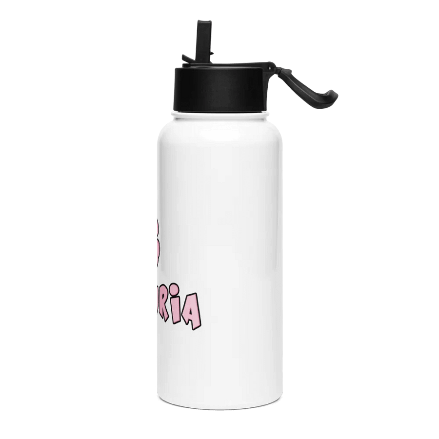 Waterbottle (with straw) product image (3)
