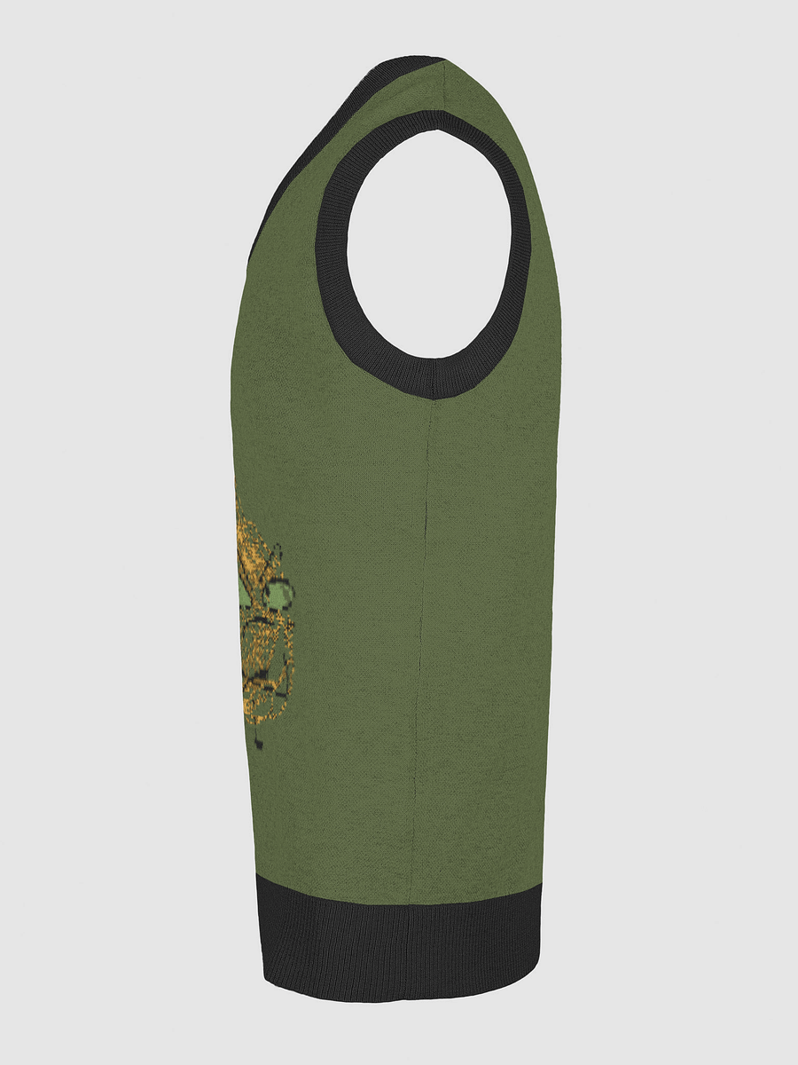 Elevate Your Style with Customizable Knit V-Neck Vest product image (29)