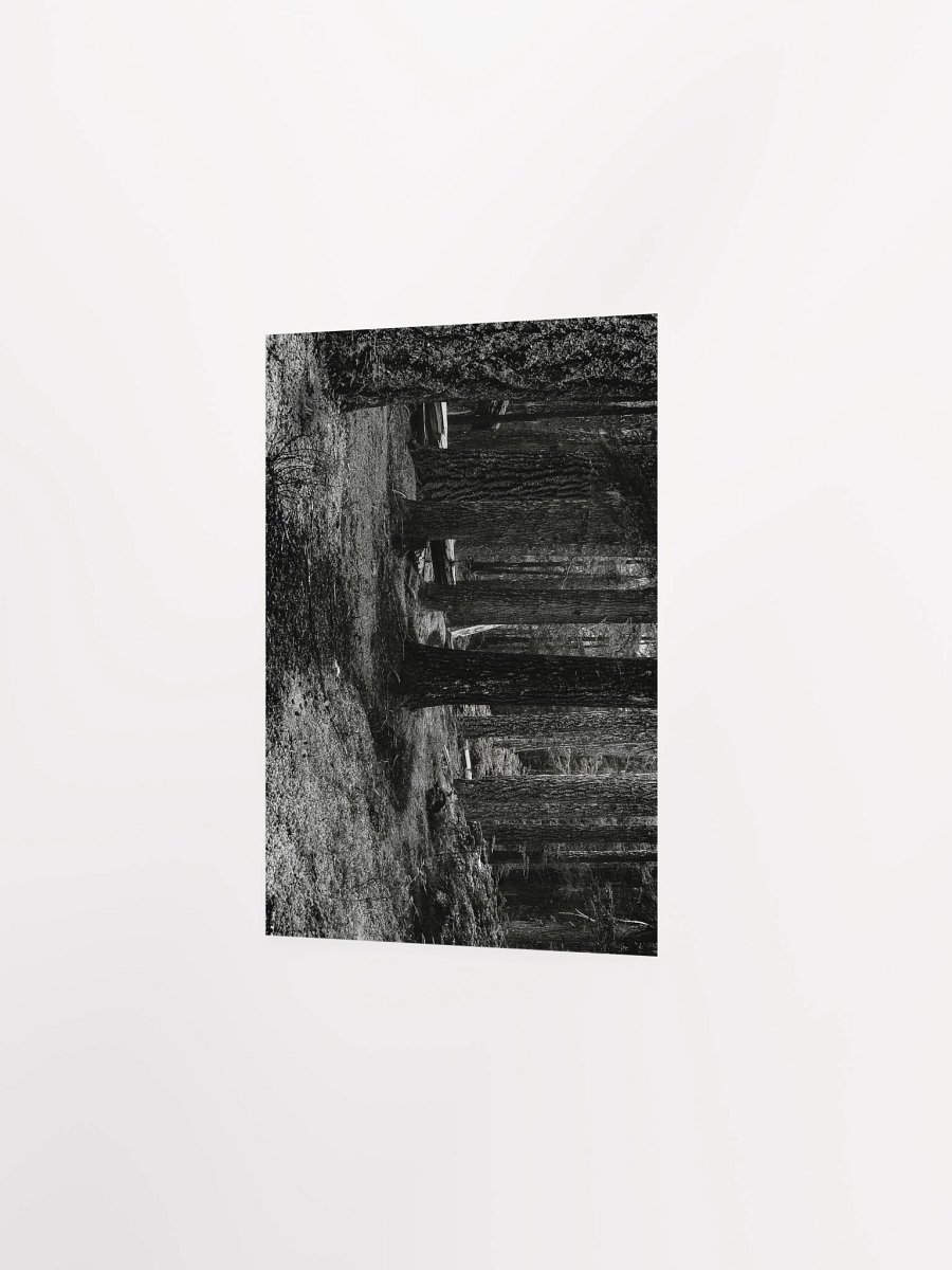 Hiking in the Buckhorn Wilderness Matte Poster product image (2)