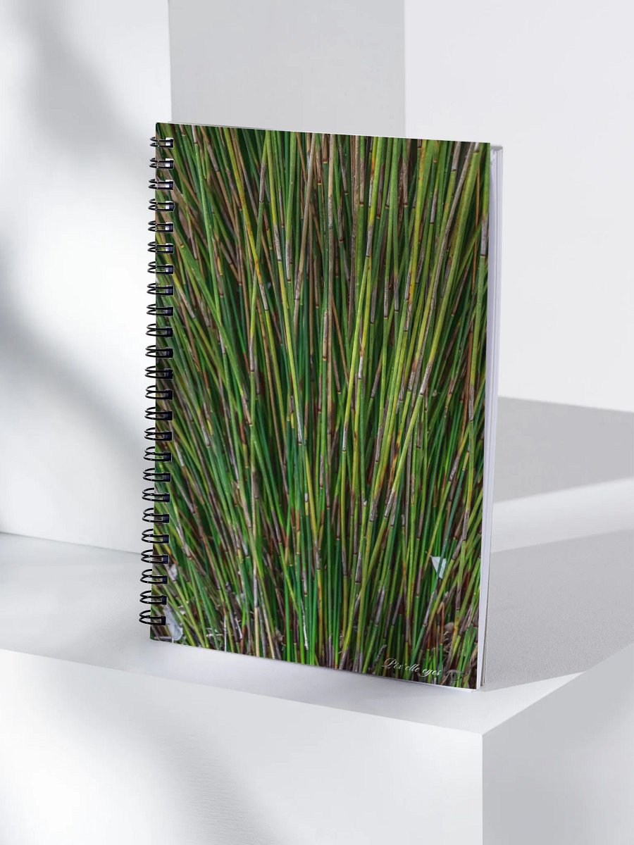 📓 Notebook Collection PURE – Jardin du Rayol – Roseau du Cap product image (4)