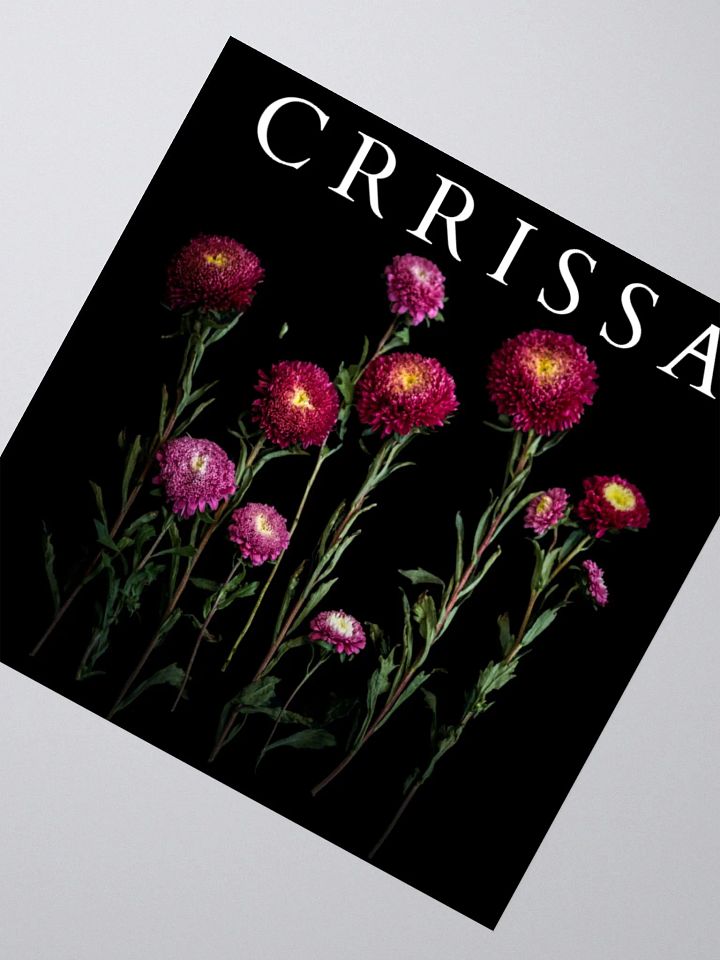 Crrissa - Sticker product image (2)