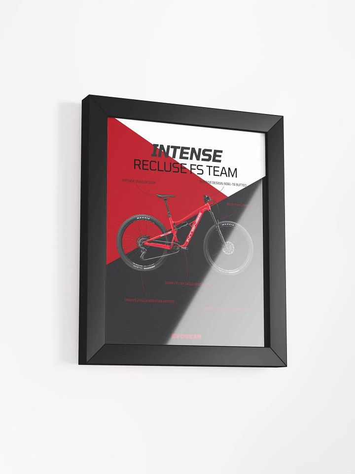 Intense Recluse FS Team Frame product image (10)