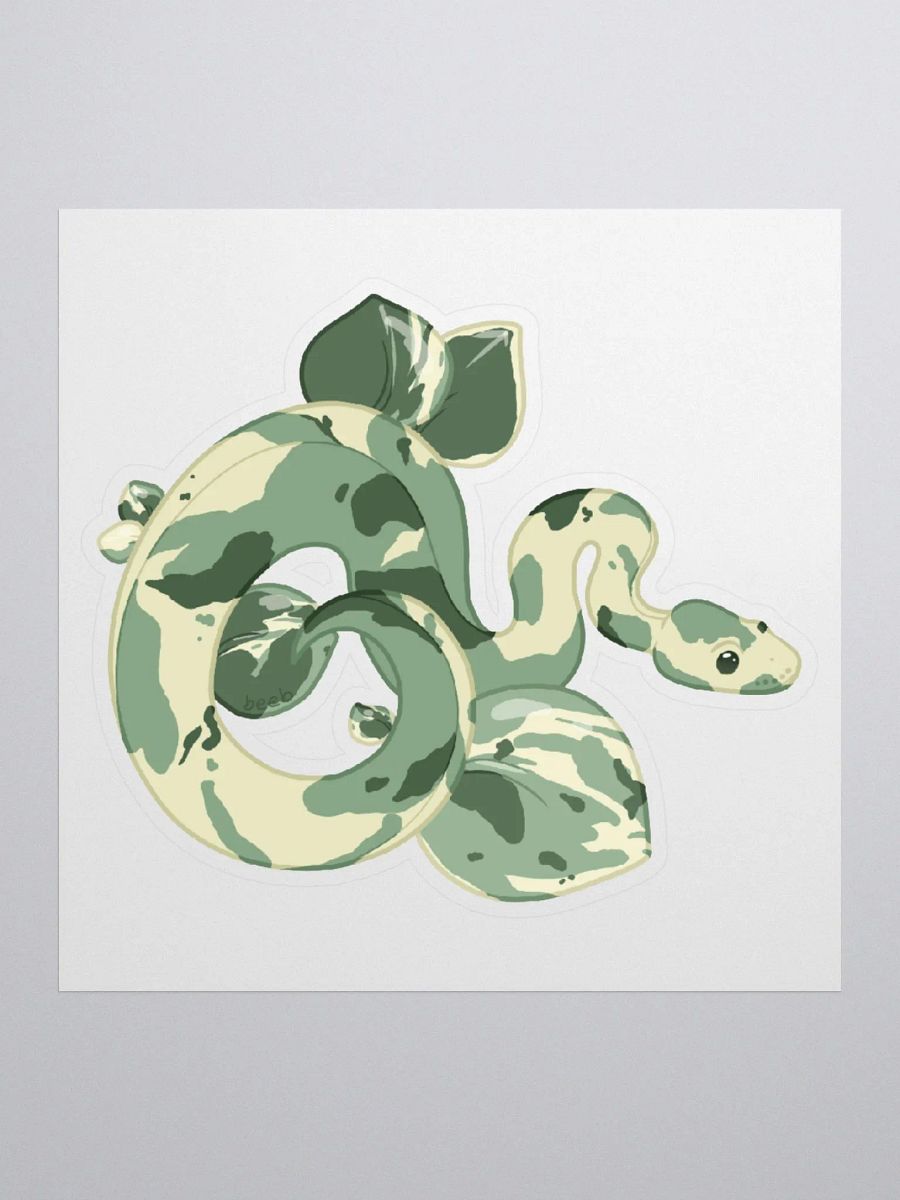NEW Variegated Peperomia Houseplant Snake product image (1)