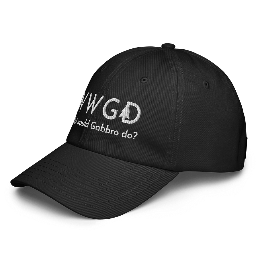 "What Would Gabbro Do?" Hat product image (5)
