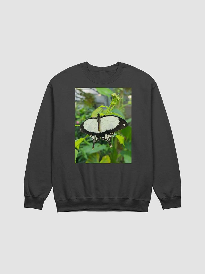 Mocker Swallowtail Tropical Butterfly Unisex Jumper product image (2)