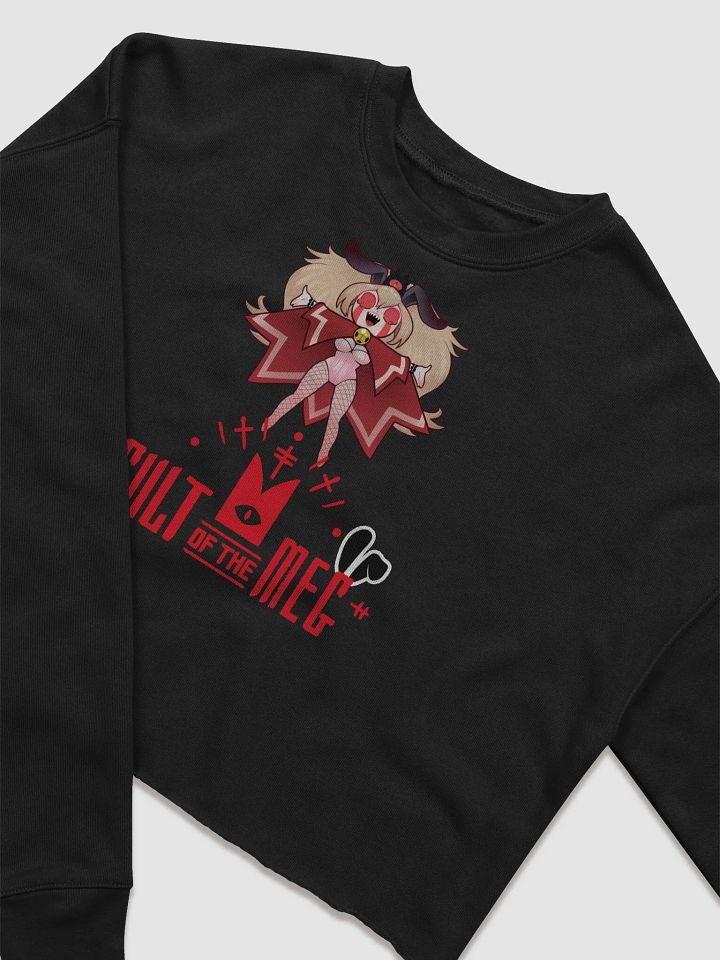 Cult of the Meg Crop Sweater product image (2)