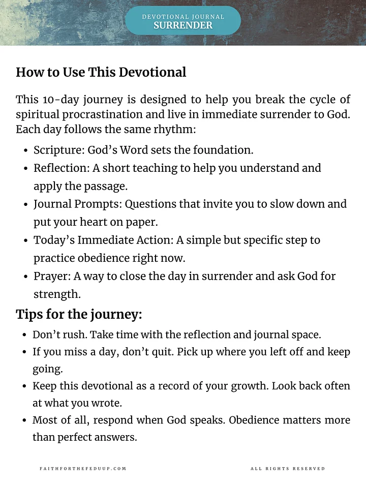 Now Is the Time: A 10-Day Discipleship Devotional on Immediate Surrender product image (2)