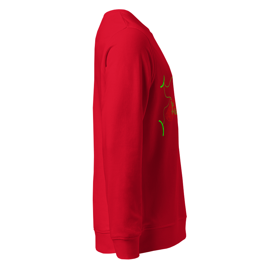 Galactic Gamer Organic Sweatshirt product image (4)