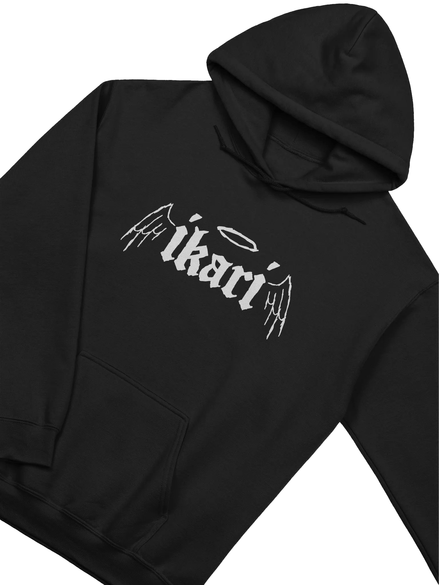 WINGS LOGO HOODIE product image (2)