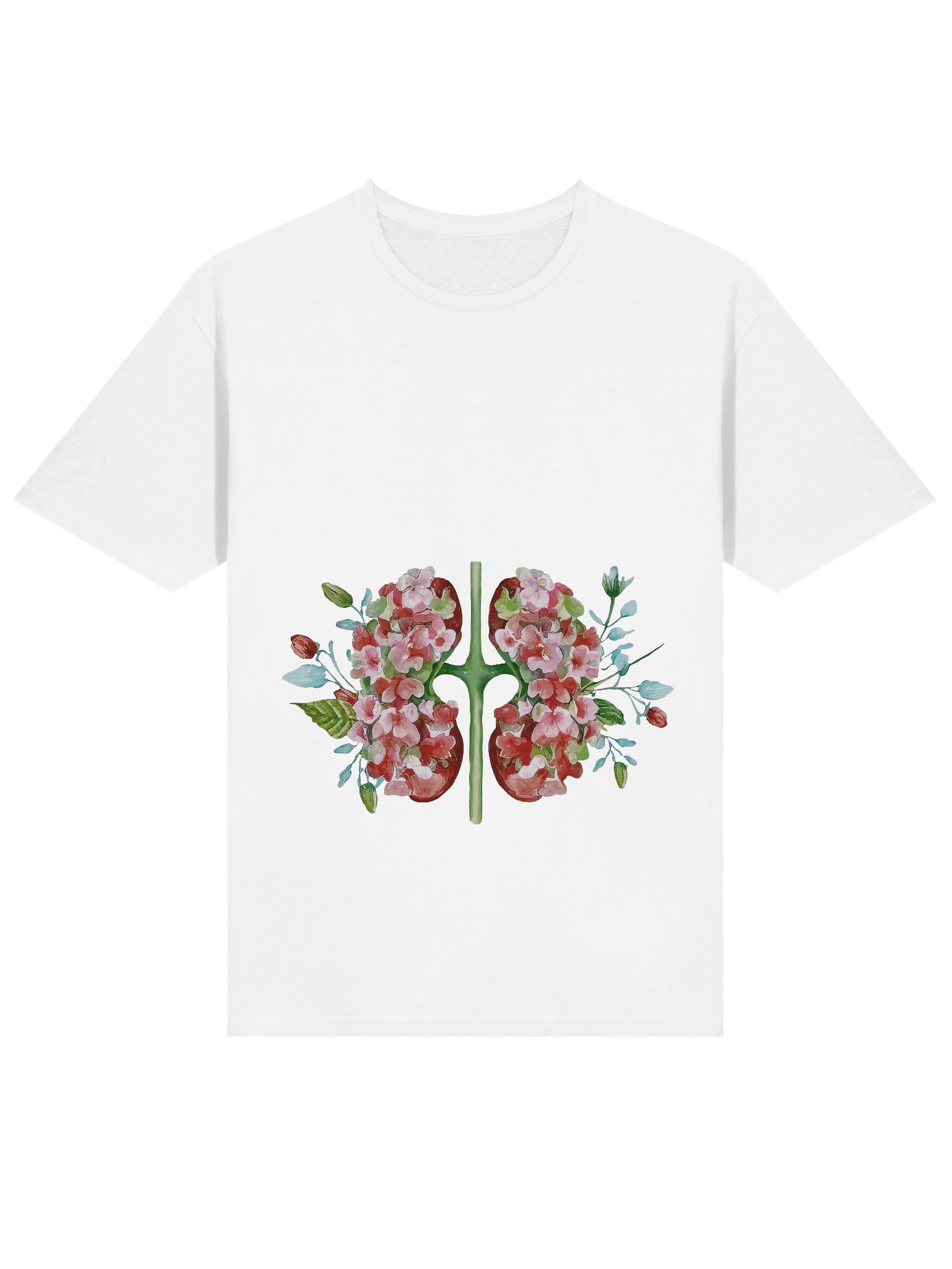 Botanical Anatomy Kidney Illustration product image (2)