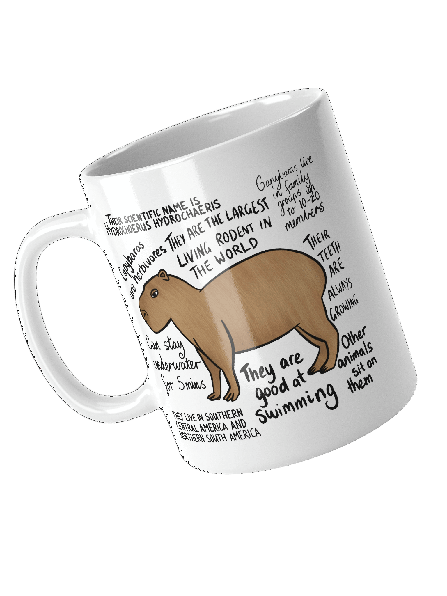 Capybara Facts Mug product image (11)