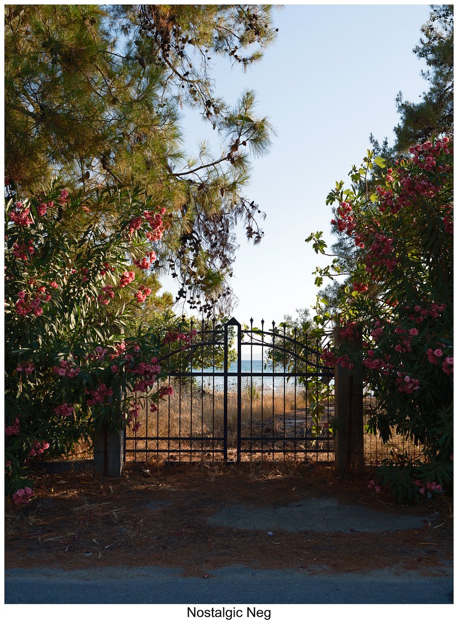 Fujify [Sony] Lightroom Profiles product image (5)