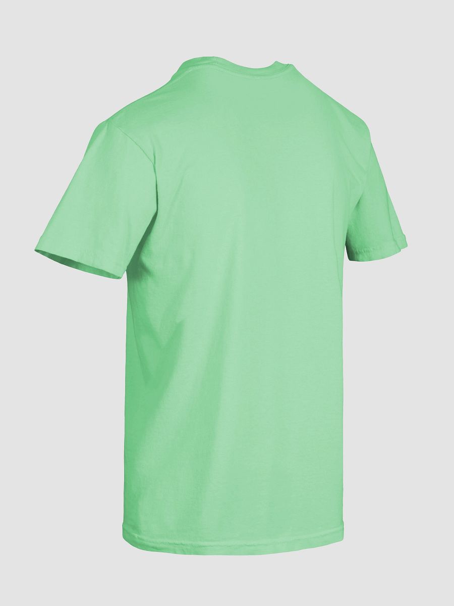 Coin Bird Heavyweight T-shirt product image (88)