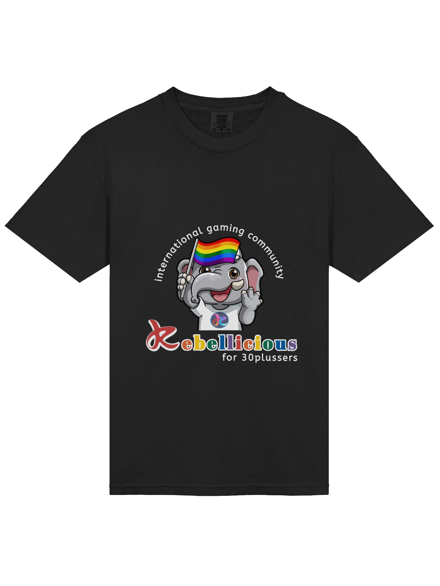 Comfort Colors Pride T-shirt product image (35)