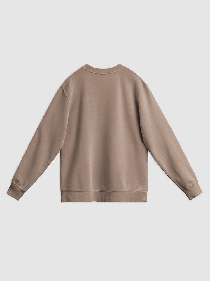 BUSY-BRAINED (lined design, #E1B9CE) printed pigment crewneck product image (8)