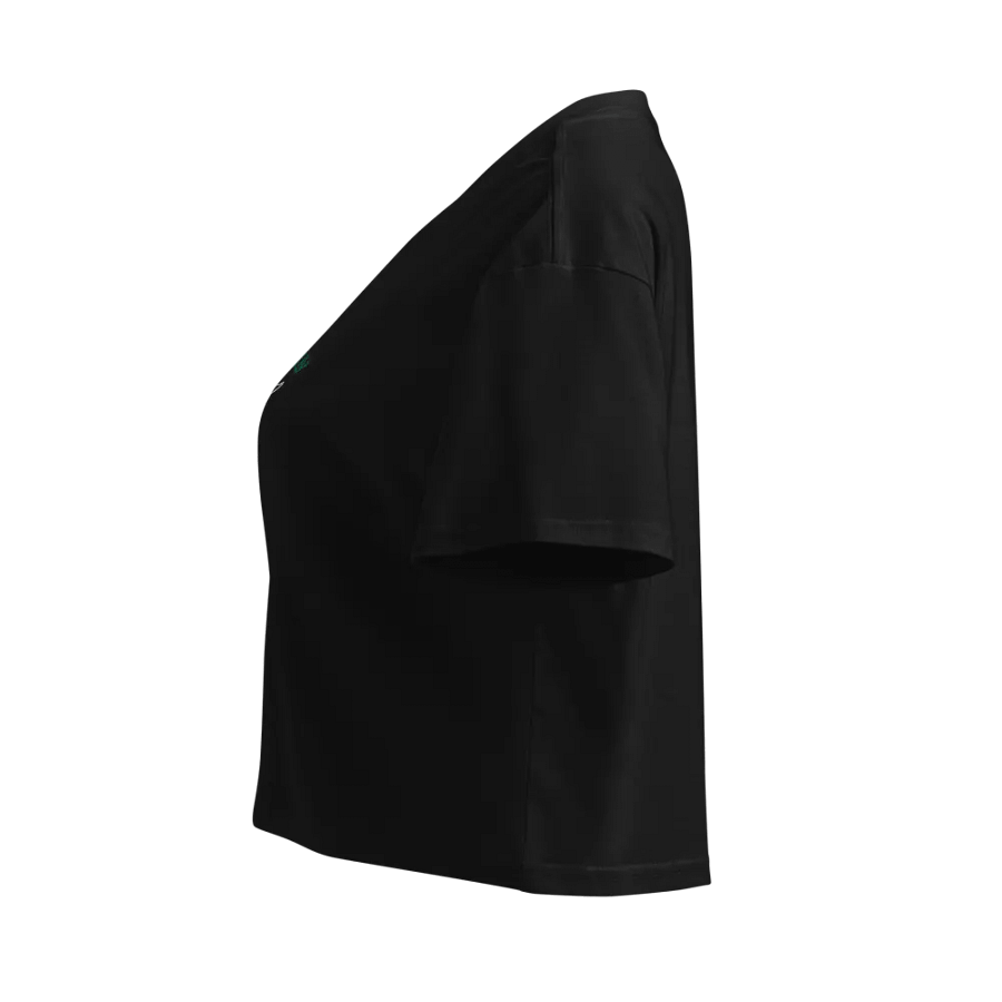 Outlaw of The Galaxy Crop Top product image (4)