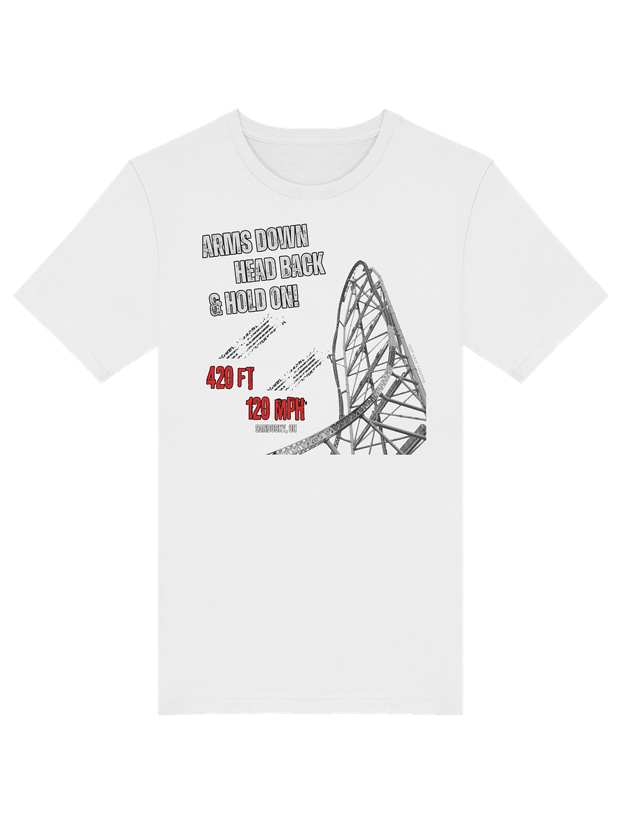 Arms Down, Head Back & Hold On - 420/120 Tee product image (22)
