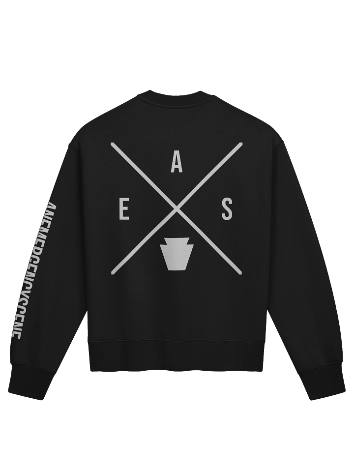 AES X Crewneck product image (2)
