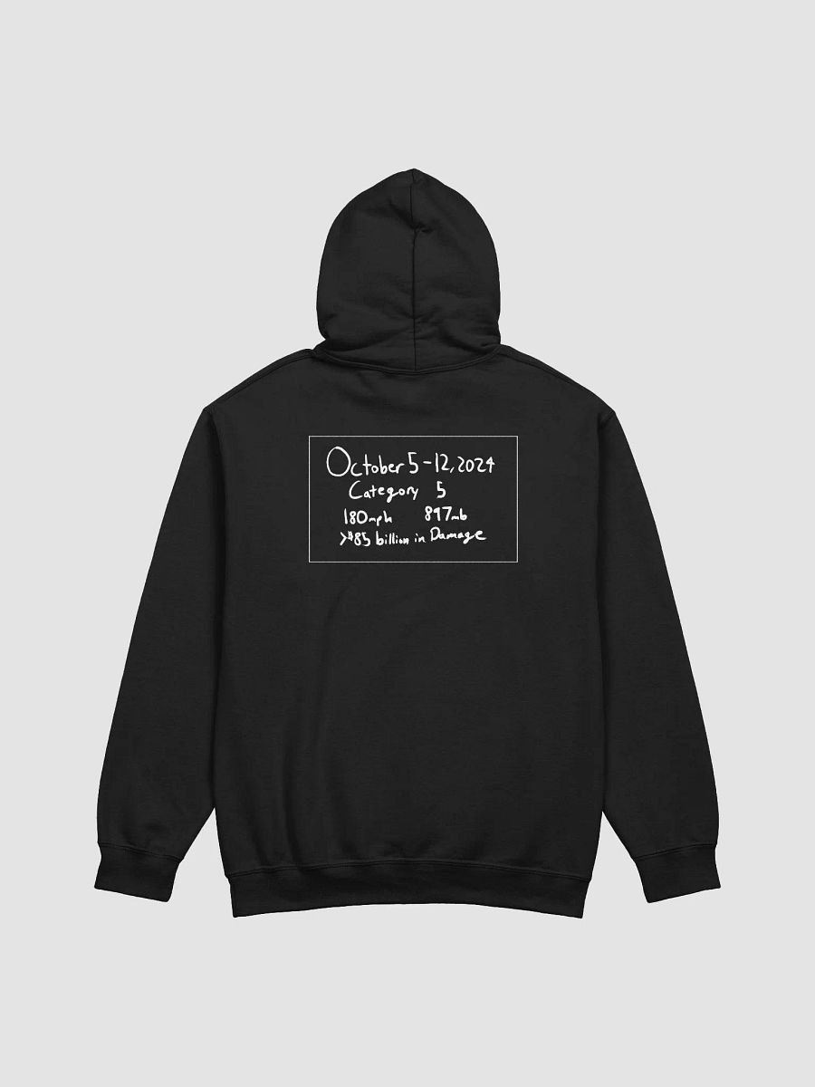 Hurricane Milton Hoodie - White Text product image (31)