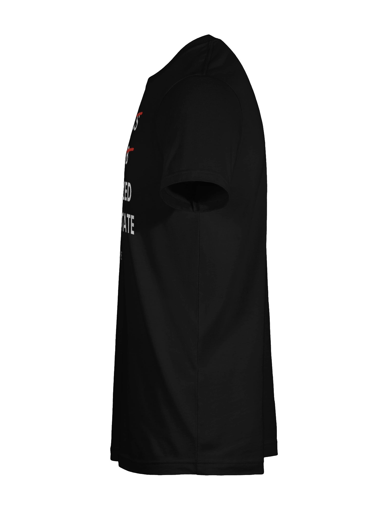 Tokenized Real Estate T-Shirt product image (11)
