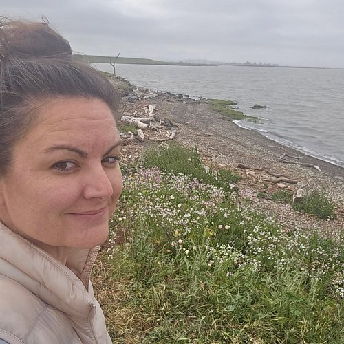 Been sick for a few weeks so I'm excited to finally be out on a walk with this beautiful view.
