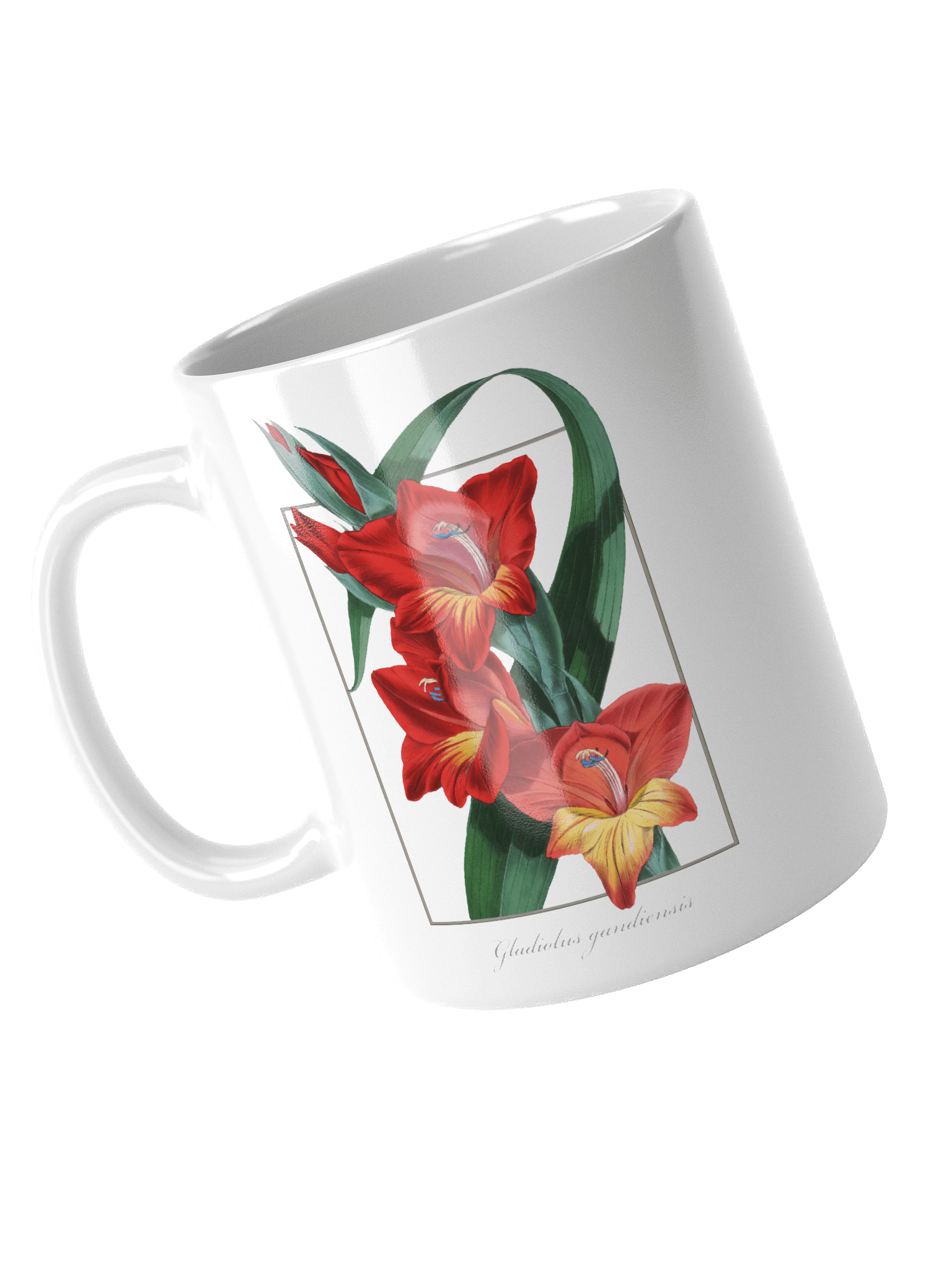 Gladiolus Gandiensis Ceramic Mug product image (4)