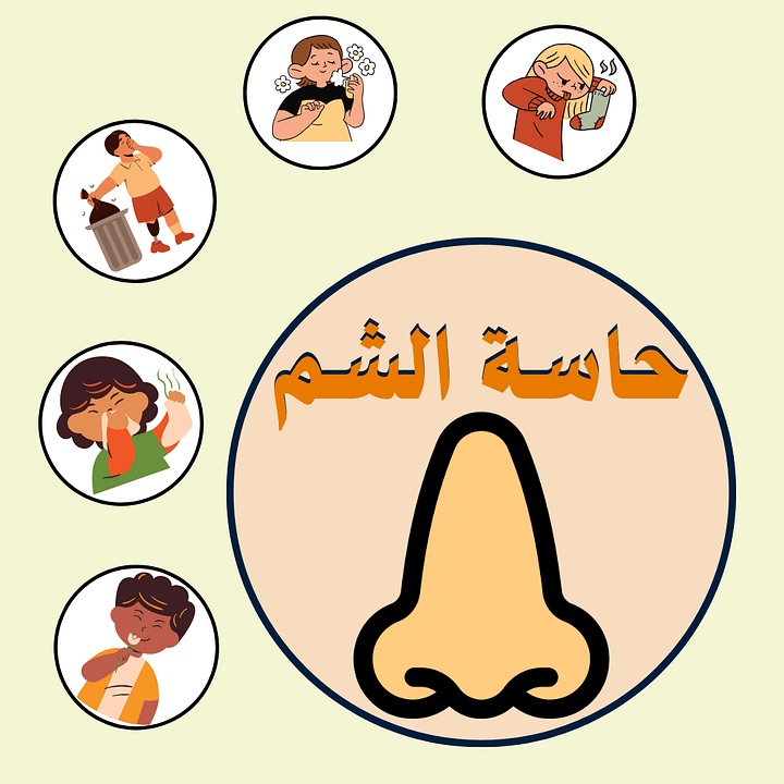ملائمة الأعمال للحاسة المُستخدمة | الحواس الخمس - pdf product image (2)