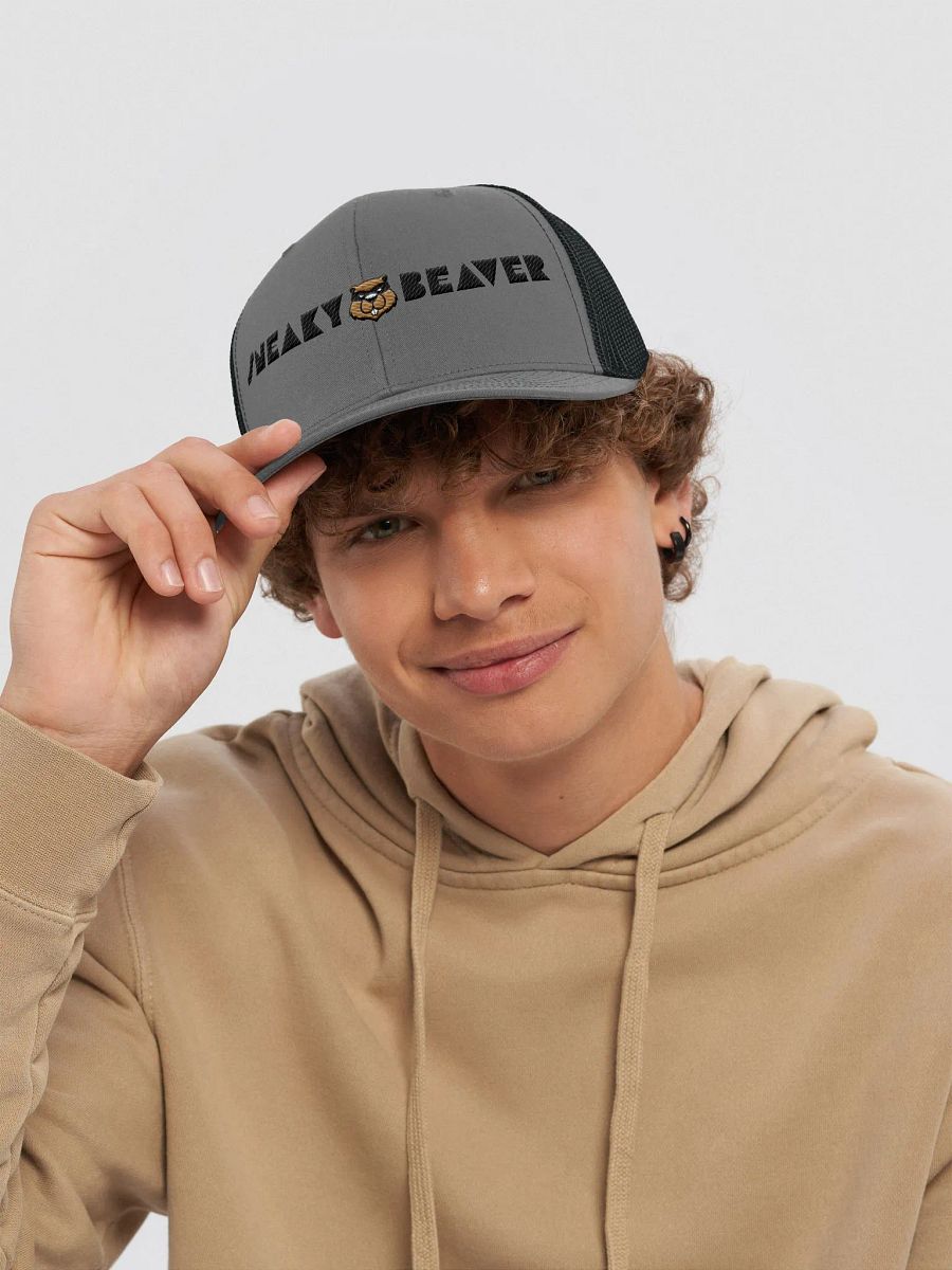 Sneaky Trucker embroidered cap product image (26)