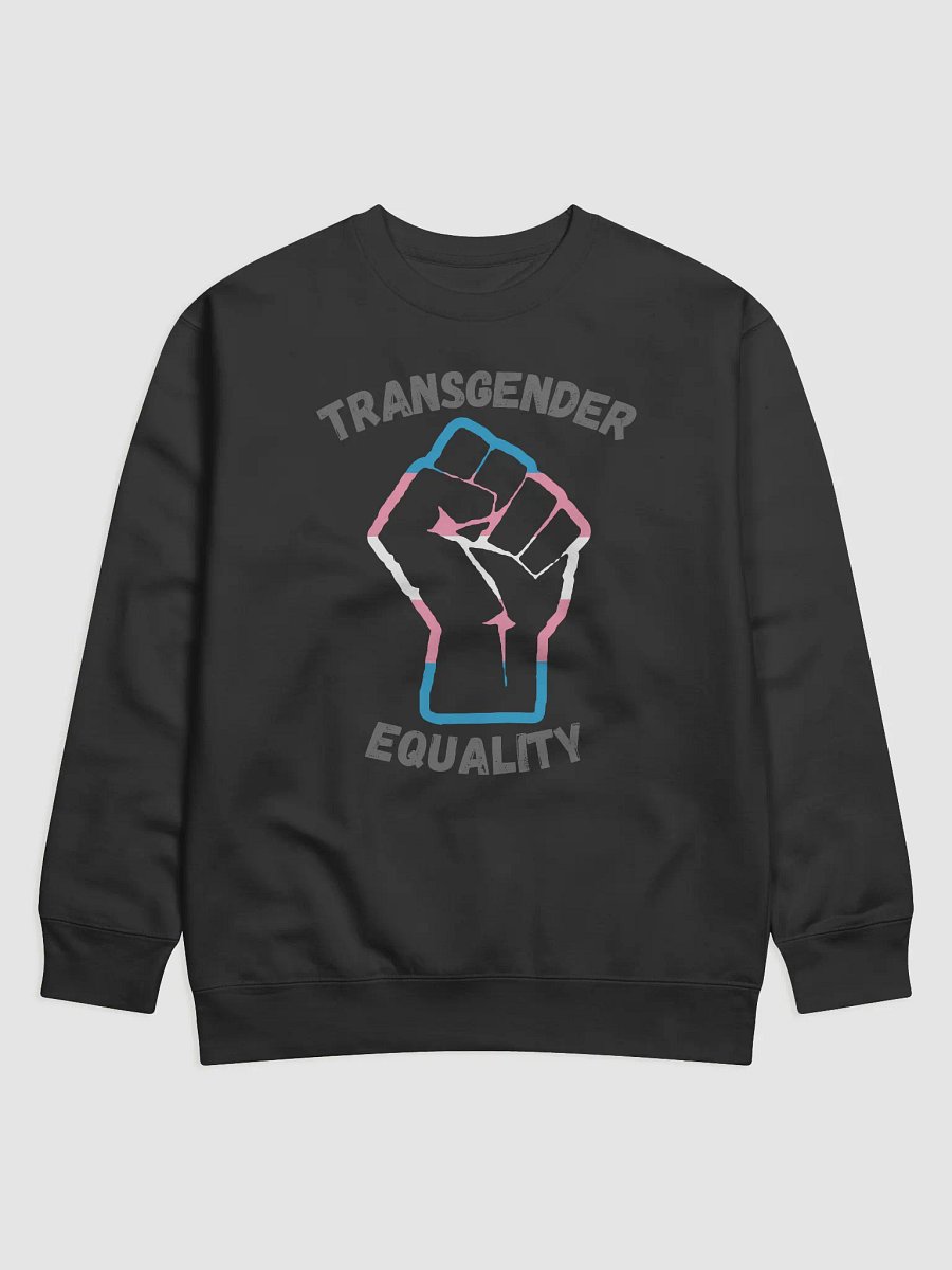 Empowerment Fist Equality Sweatshirt product image (1)