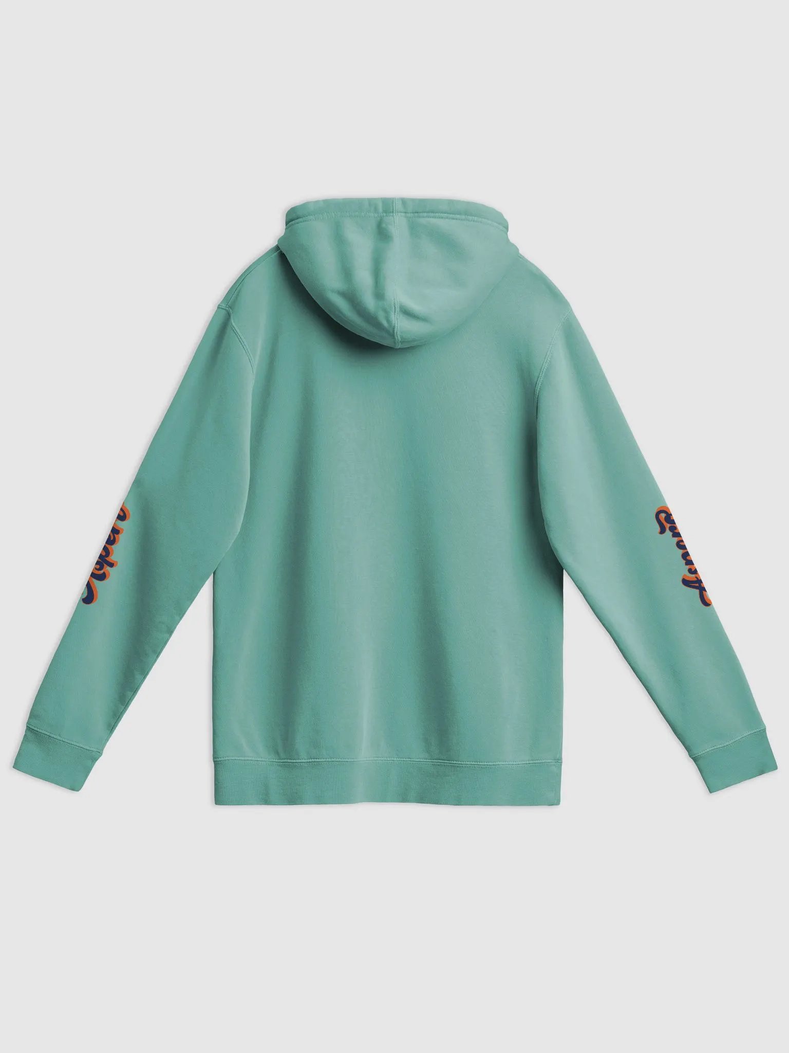 Aspero Signature Vintage Hoodie product image (42)
