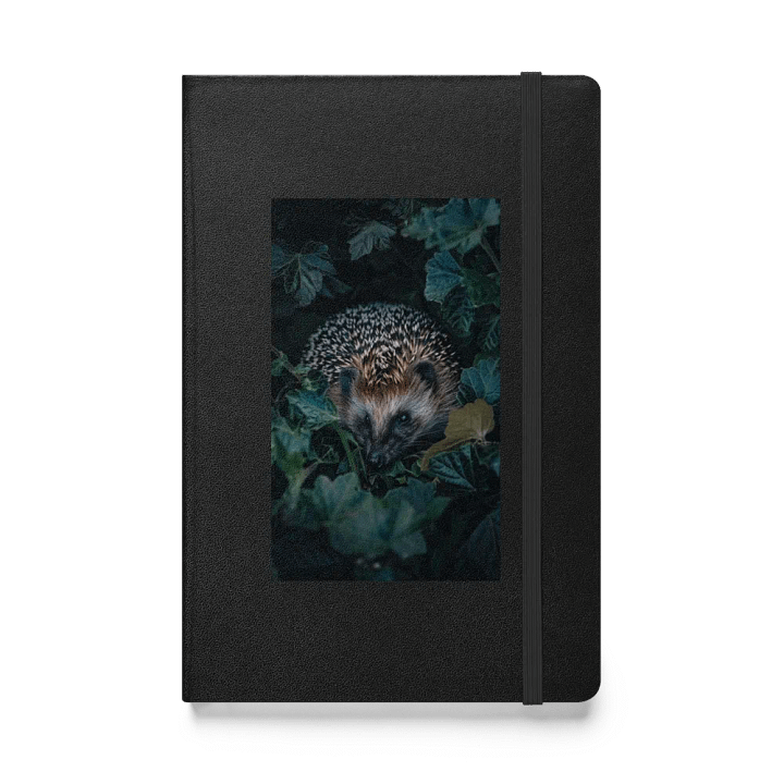 Whimsical Hedgehog Hardcover Notebook product image (1)