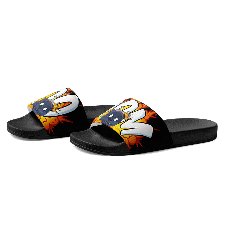 The BOOOOOM Dog Slides product image (2)