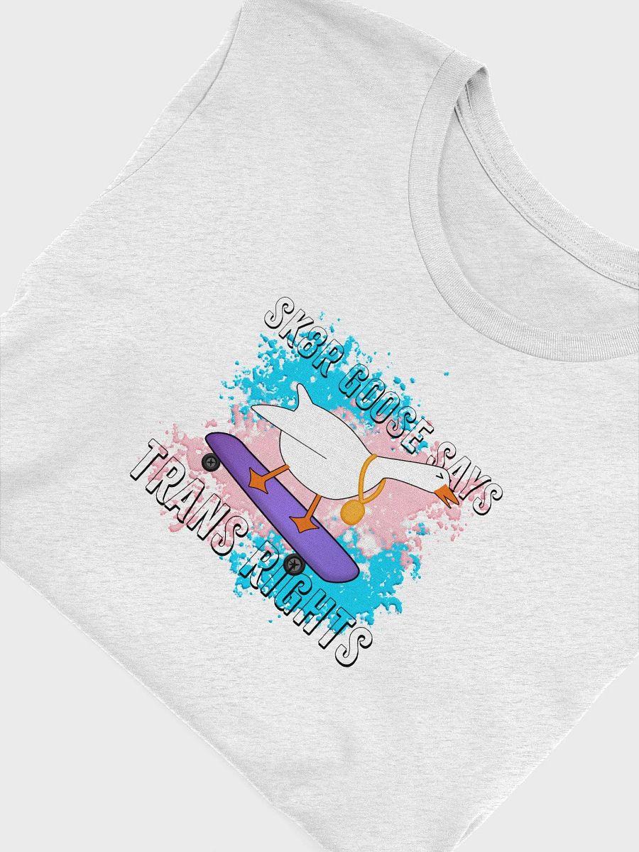Sk8r Goose Says Trans Rights product image (53)