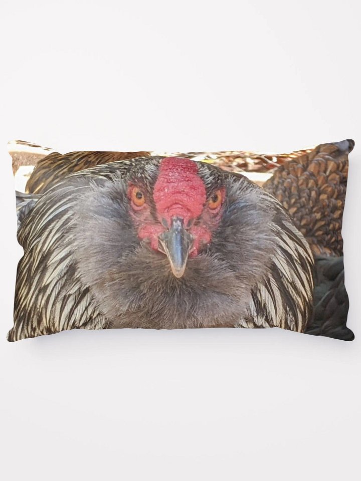 Smokey and The Girls Pillow product image (1)