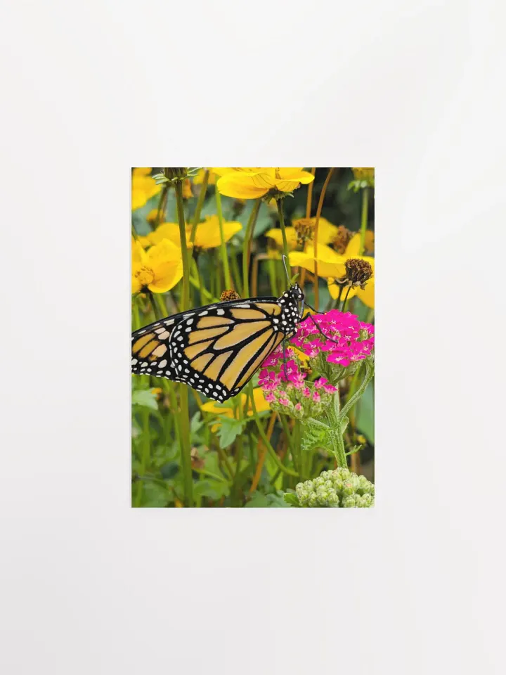 Tropical Monarch Butterfly Matte Poster 5x7" product image (1)