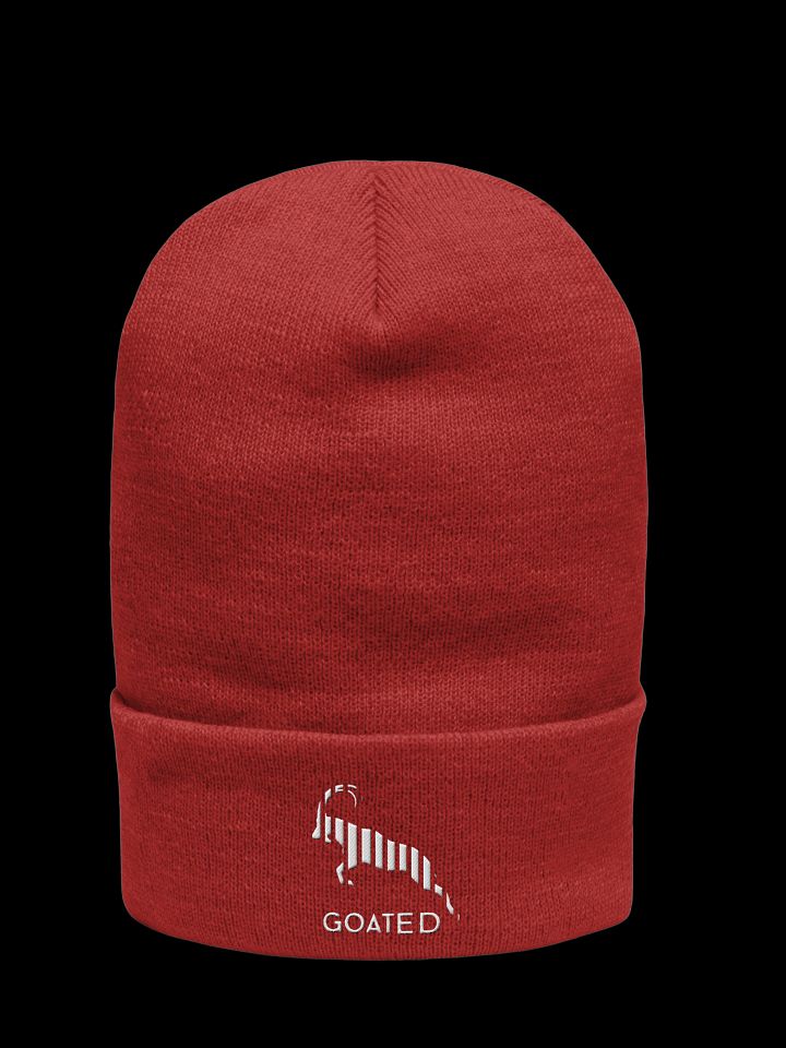 Goated Originals Tall Cuff Futura Beanie product image (1)