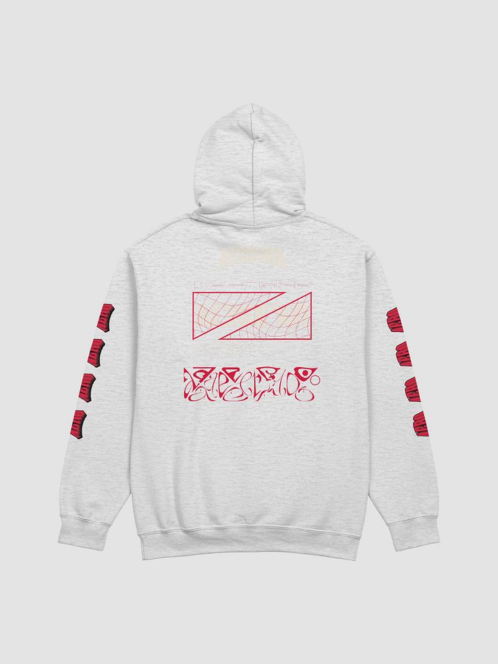 AeroFam Hoodie With Text Sleeve product image (2)
