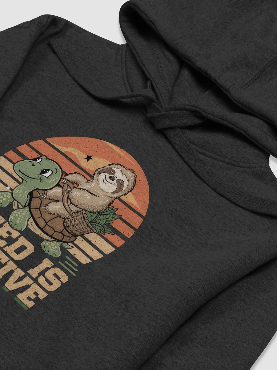 Relatively Speedy Turtle Unisex Hoodie product image (13)
