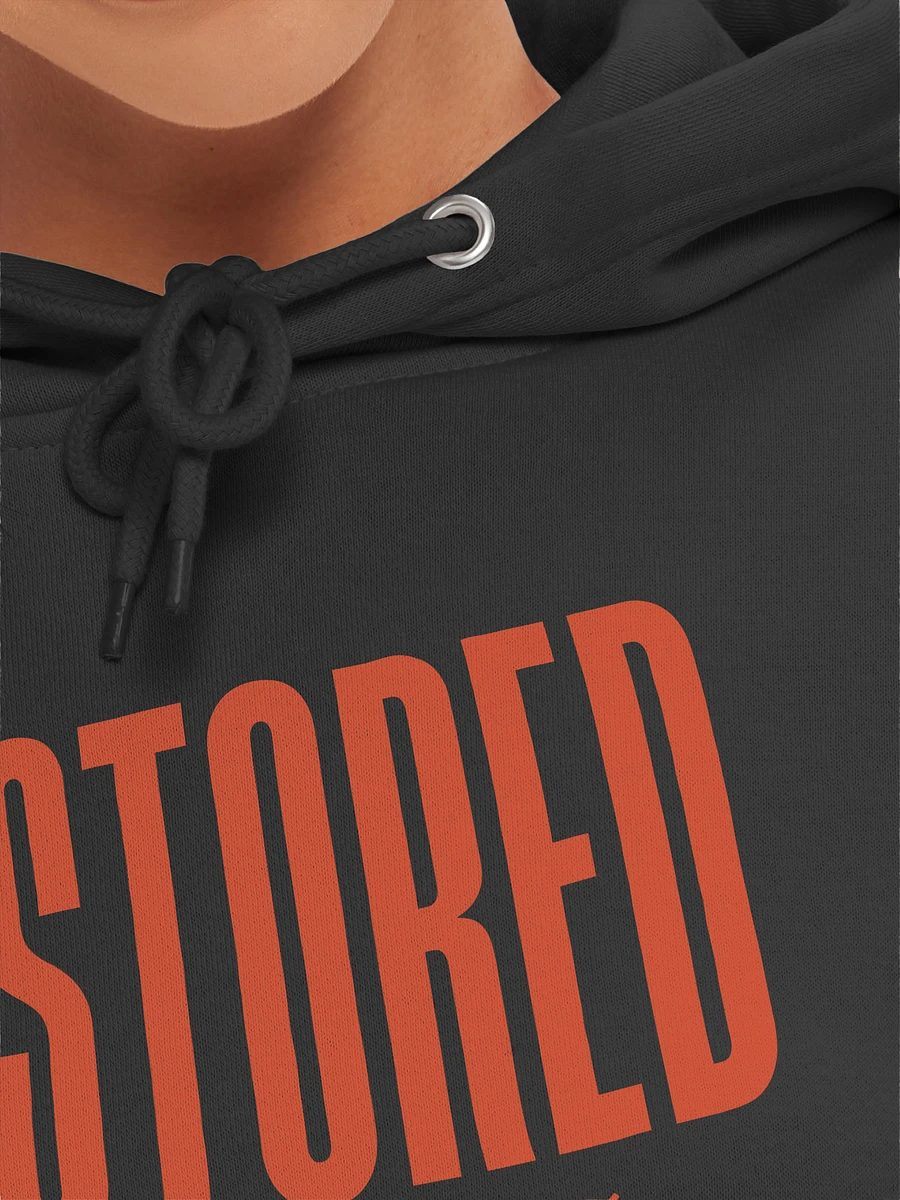 RESTORED- Jeremiah 30:17 Hoodie product image (7)