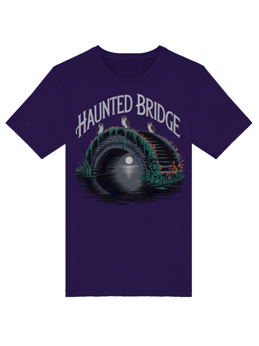Mystical Haunted Bridge T-Shirt product image (18)