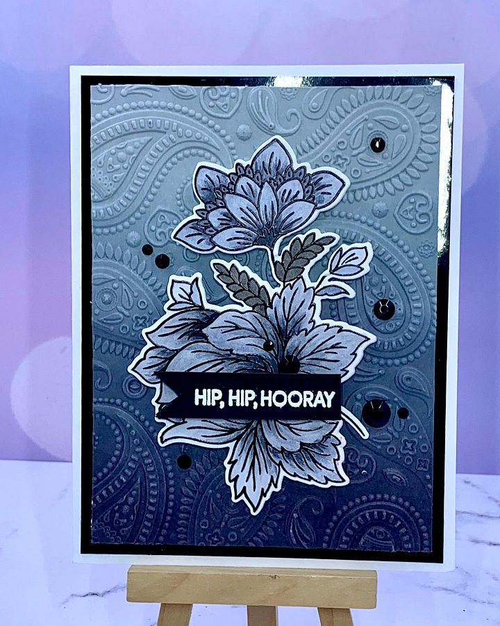 Hip Hip Hooray Paisleys product image (1)