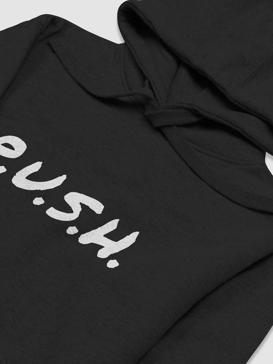 P.U.S.H Hoodie product image (3)