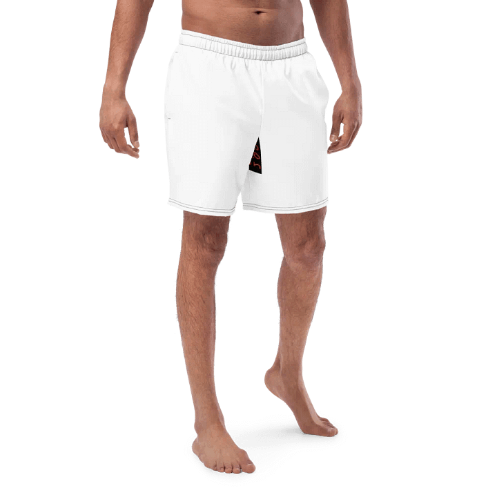 Nr2 swim shorts product image (1)