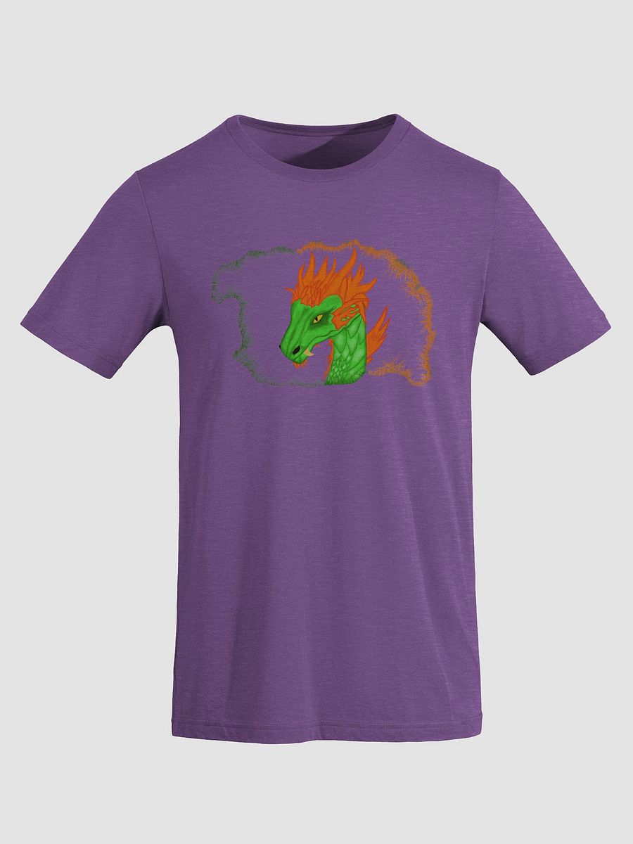 Dragon's Blaze Triblend Tee product image (3)