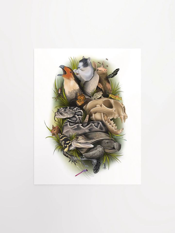 Wild Animals of Florida product image (1)