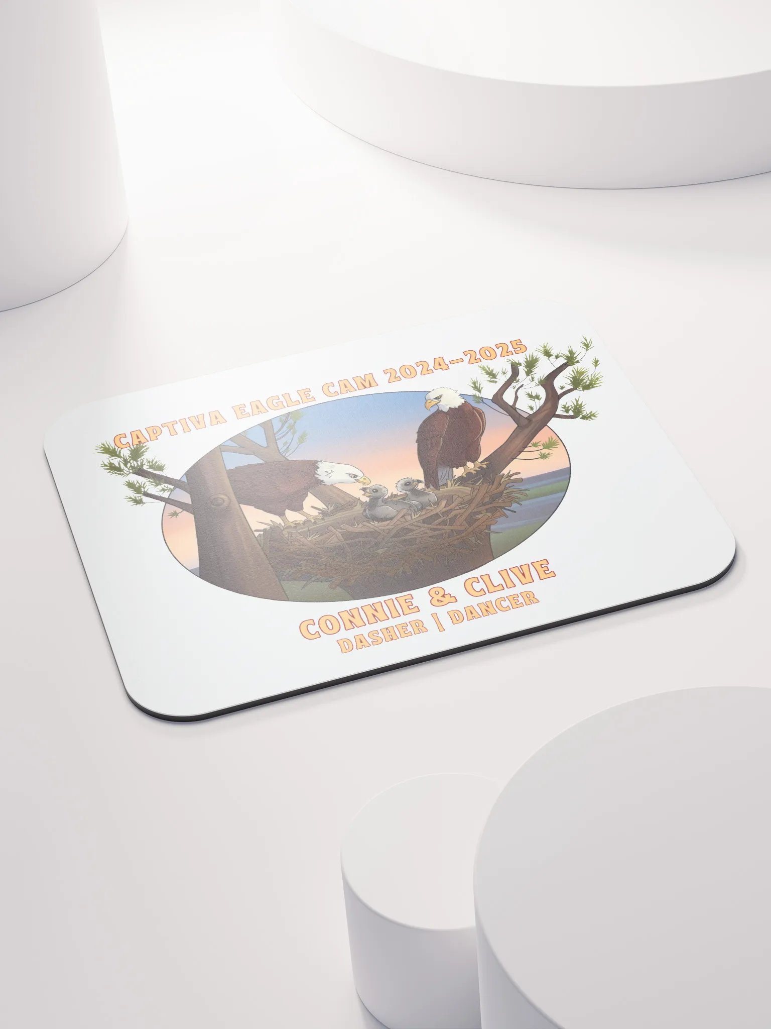 Art | Mouse Pad | Captiva Eagle Cam 2024-2025 product image (3)