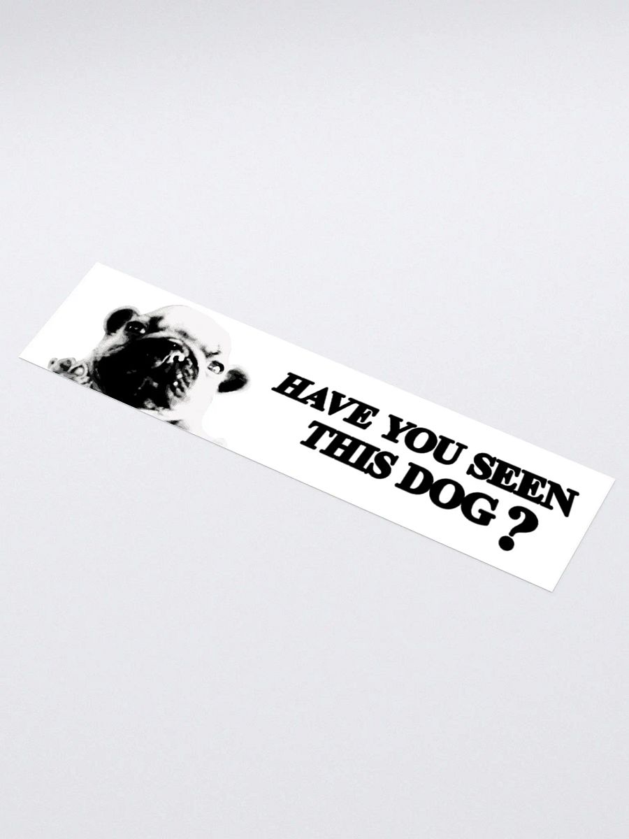 HAVE YOU SEEN THIS DOG BUMPER STICKER product image (1)