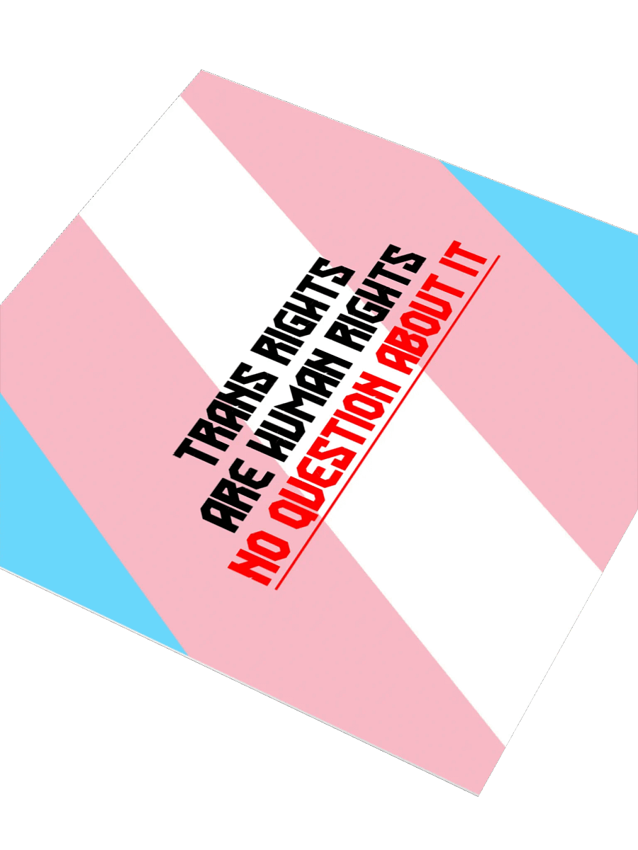 Trans Rights Kiss Cut Sticker product image (3)
